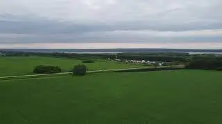 Засеянные площади зерновыми в Искитимском районе