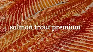 trout salmon premium(pemotongan)
