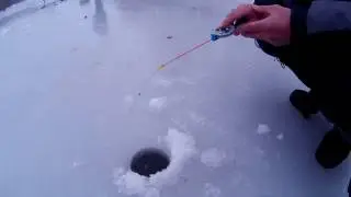 Первый лед ,ловля окуня на мормышку  2016-2017