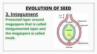 Lec#15 PPSC Botany lecturer series 
Ch#9 Evolution of Seed in Urdu&Hindi by Mehroz Ashraf