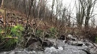 Relaxing Nature Sounds of Water