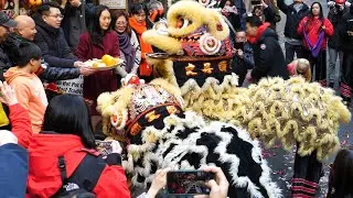 New York Dragon & Lion Dance Super Saturday CNY 2020 Chinese / Lunar New year of the metal rat #15