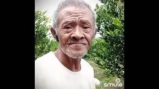 andaikutau sugito