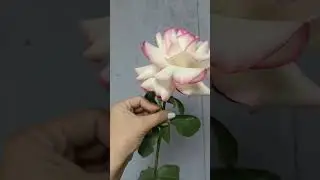 #flowers #цветысаратов #цветы #love #букет #rose #1сентября Саратов, Тархова, 25К📱+79376301900