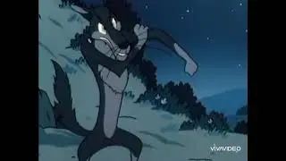 wolf inflation