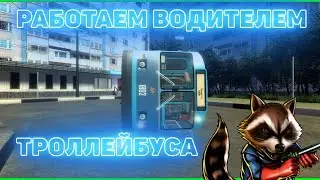 ВОДИТЕЛЬ ТРОЛЛЕЙБУСА В МТА ПРОВИНЦИЯ | MTA PROVINCE