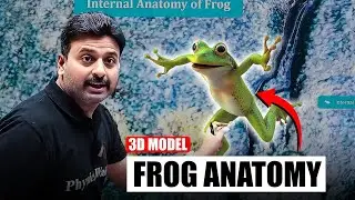 Live Class Me Aagya Frog😂 | Complete 3d Anatomy of Frog 🔥 | PhysicsWallah