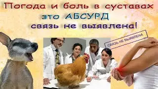 Погода и боли в суставах - абсурд, связь не выявлена.