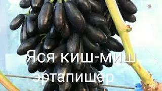28 июня 2021 г.