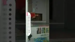 26 сентября 2021 г.