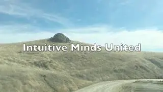 Intuitive Minds United - Positive Vibes Live Out Door Tour 2017