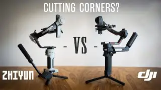 Best Budget Gimbal? Zhiyun Crane 4E vs DJI Ronin