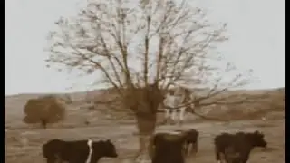 ANDREI TARKOVSKI Unreleased Film Footage Circa 1975