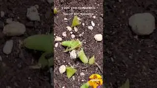 14 марта 2023 г.