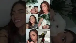 Hermosos los tres 🐕🐶🖤