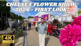 FIRST LOOK: RHS Chelsea Flower Show 2026 🌸 Press Day Preview in 4K