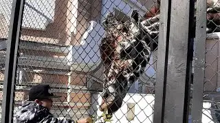 Варя и Демид в Московском зоопарке 🐼🐻‍❄️🐨🐯🦁🐒🐧🦆🦅🦉🦇🐴🦋🕷🐍🦭🐆🐅🦌🦓🦬🐃🐫🦒🦘🐘🦏🦧🦍🦚🐇🦩🦦🐿🦔🦥