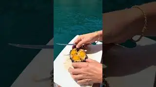 Как приготовить морского ежа с перепелиным яйцом