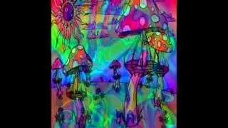 Psy Trance - Gribocki