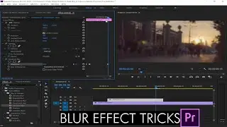 How to Add blur effect in Adobe Premiere pro|Learn Adobe Premiere Pro Tutorial for beginners