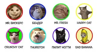 All the meme cats in 21 minutes