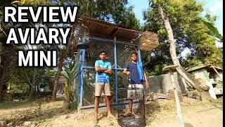 Review Aviary Mini