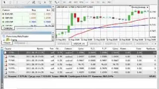 Самый прибыльный советник Форекс! Forex