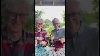 Learn how to Knit in 60 seconds: The Norwegian Purl by ARNE & CARLOS 