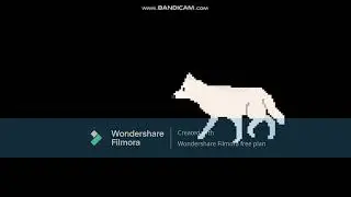 North American Animals   The Kids' Picture Show
