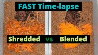 Shredded vs Blended Carrots Fast Time Lapse