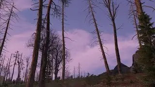 Stream Attempt #214124c - Deadfall Round 2