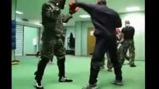 САРВЕНЬ.