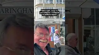 Осторожно: голодные чайки 🚨 #нидерланды #голландия