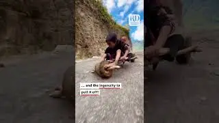 Imagination is the mother of invention