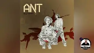 Die Antwort - Oida Wos (2008)