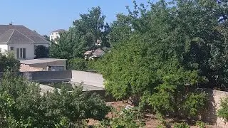 В гостях на даче / дачный обзор 17.06.2024