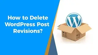 How to Delete WordPress Post Revisions?