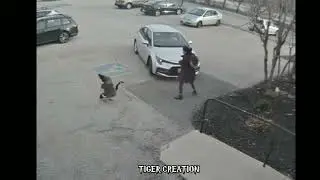 it's my life it's now or never i ain't gonna live forever funny video | funny fighting video