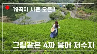 #붕어낚시 ep. 62 그림같은 저수지에서 힐링 캠낚 즐기는 법 #민물낚시 #피싱메이비 #부부낚시 #산란기 #insta360 #소류지낚시