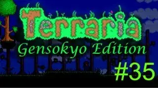 Terraria Touhou Adventures (35) "Usually.. You shouldn't be surviving in lava.."