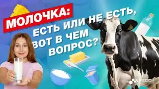 МОЛОЧКА - это вредно? // #медси