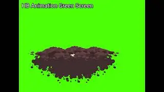 Growing of Vegetables Animation (Green Screen) | growth vegetables | vegetables