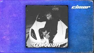[Free] Juice WRLD Type Beat 2024 - Tranquility