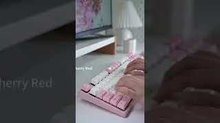 Sakura With Four different Switches(Sound only)