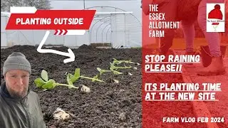 PLANTING OUTSIDE IN FEB! - Will it ever stop raining?