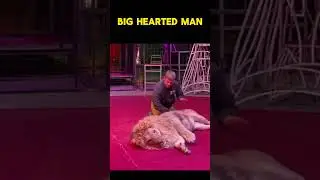 BIG HEART - Lion Massage