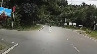 Why did the toddler cross the road?
