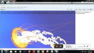 HTML project for school kids