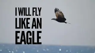 ‪I WILL FLY LIKE AN EAGLE | KIDS SUNDAY SCHOOL SONG | GRACE OLIVE‬
