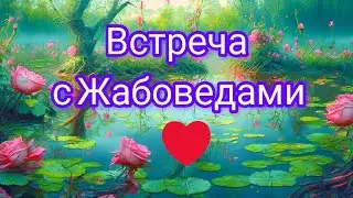 Разговор с Жабоведами)